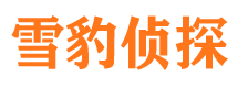 上甘岭市婚姻出轨调查